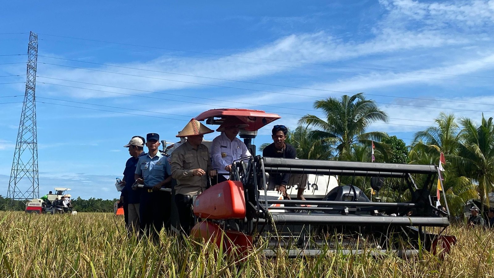 Gubernur Kalbar Ria Norsan saat panen padi di Desa Mensere, Kecamatan Tebas, Kabupaten Sambas, Senin (7/4/2025). (dns)