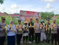 Wakapolresta Pontianak Hadiri Panen Perdana Jagung, Dukung Ketahanan Pangan Lokal