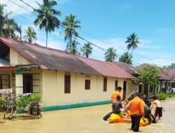 Banjir Masih Dominasi Bencana di Indonesia, Tapanuli Tengah dan Kalimantan Tengah Terdampak Parah