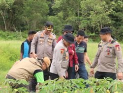Kapolda Kalbar Kunjungi Sanggau, Tinjau Program Ketahanan Pangan dan Panen Kedelai