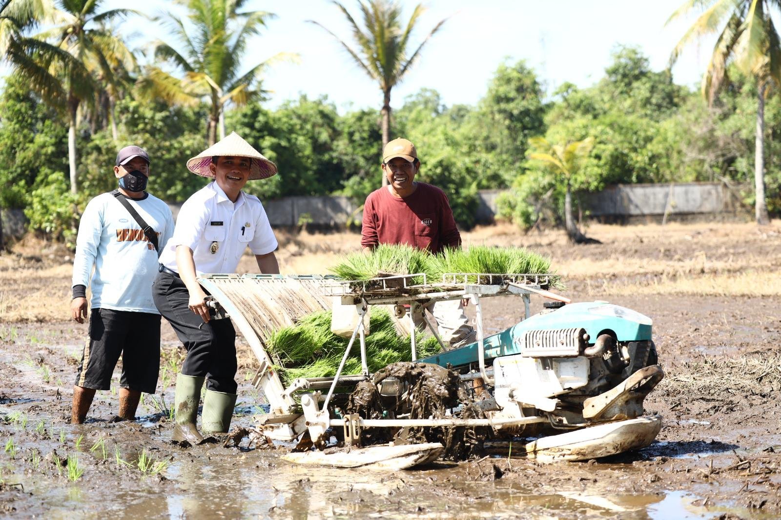 Wakil Wali Kota Pontianak Bahasan menanam padi secara simbolis menggunakan alat pertanian di Jalan Nipah Kuning Dalam. Foto: PRKPM/Faktakalbar.id