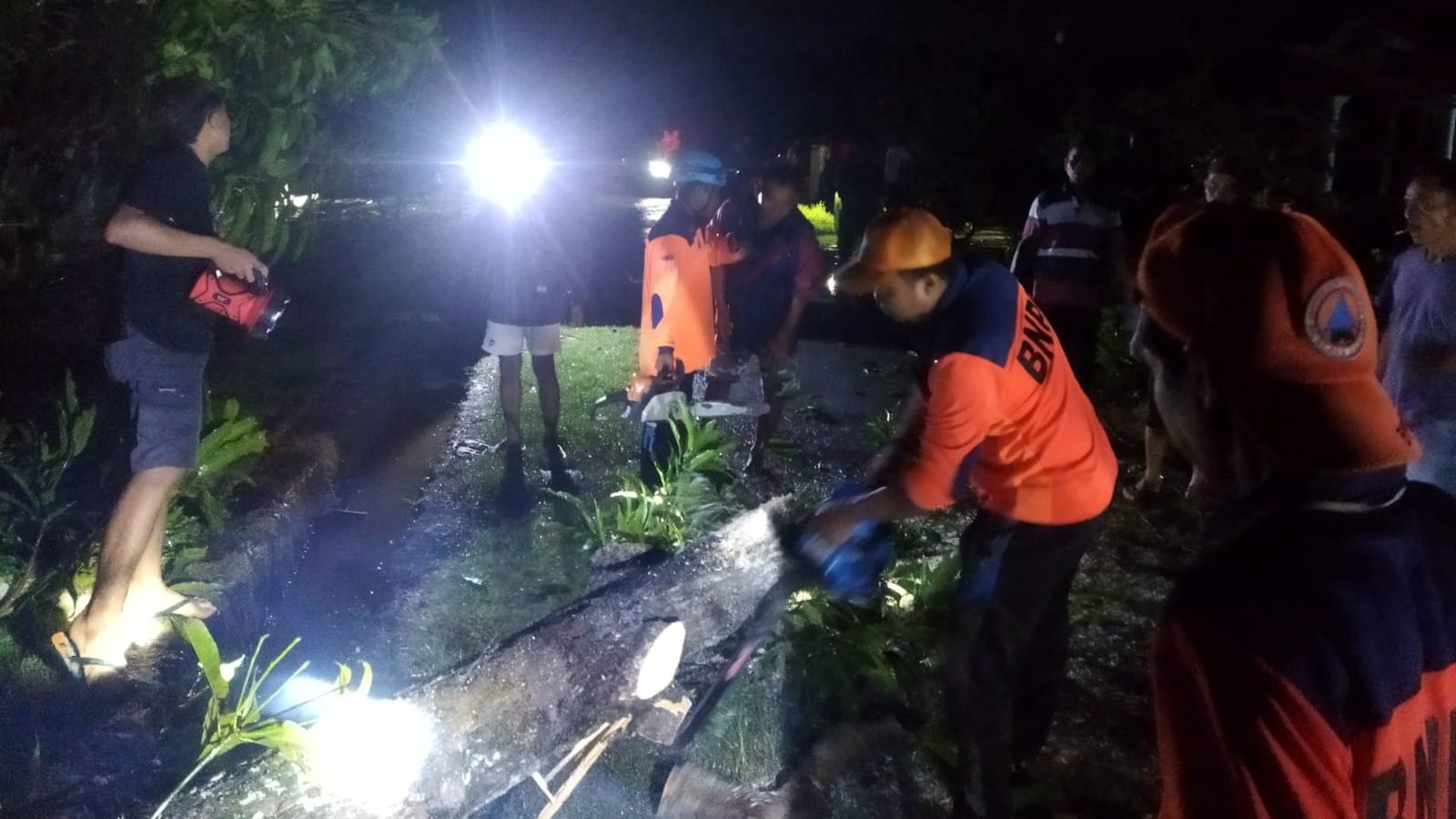 BPBD bersama tim gabungan membersihkan dan memotong bagian pohon yang tumbang akibat peristiwa cuaca ekstrim yang melanda Kabupaten Pati, Provinsi Jawa Tengah, Rabu (23/4). Sumber foto : BPBD Kabupaten Pati/Faktakalbar.id