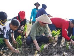 Pemkot Pontianak Gelar Gotong Royong dan Tanam Padi untuk Dukung Ketahanan Pangan Nasional