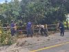 Pengamanan Lalu Lintas dalam Pemangkasan Pohon di Sekadau: Upaya Cegah Kecelakaan di Jalan Sekadau–Sanggau