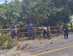 Pengamanan Lalu Lintas dalam Pemangkasan Pohon di Sekadau: Upaya Cegah Kecelakaan di Jalan Sekadau–Sanggau