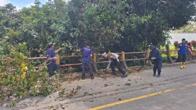 Pemangkasan pohon di Jalan Sekadau–Sanggau untuk mencegah kecelakaan lalu lintas. Satlantas Polres Sekadau bersama Dinas terkait dan masyarakat bahu-membahu menjaga keselamatan di jalan raya. Foto: HO/Faktakalbar.id
