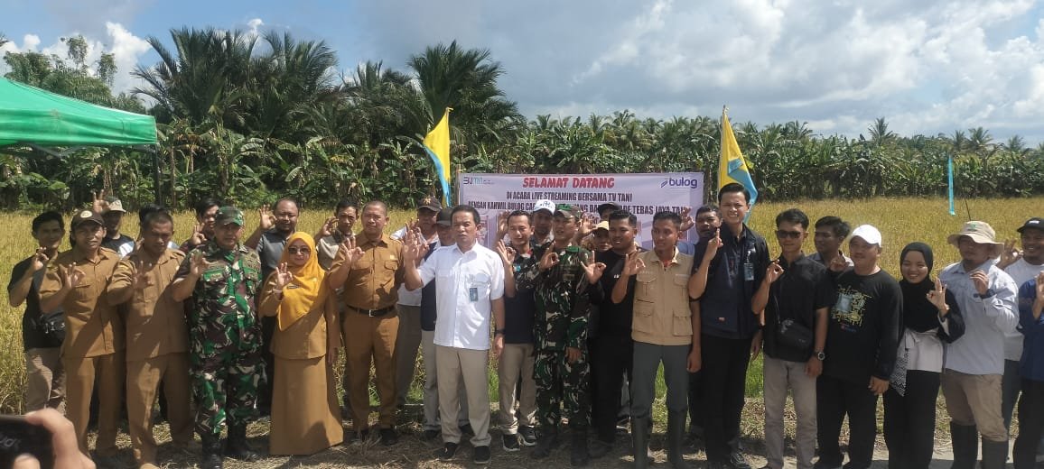 Kegiatan Live Streming Besama TV Tani dengan Kanwil Bulog Cabang Singkawang yang digelar di Persawahan, Dusun Melati, Desa Tebas Sungai, Kecamatan Tebas, Selasa (29/4/2025). (ist)