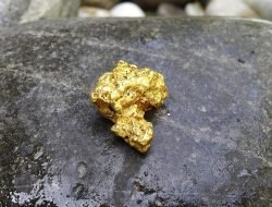 Harga Emas Capai Puncak Rekor, Kini Mulai Mengalami Koreksi