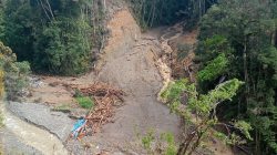 Kondisi pasca banjir bandang di Kabupaten Pegunungan Arfak, Provinsi Papua Barat, pada Sabtu, (17/5). Sumber foto: BPBD Kab Pegunungan Arfak