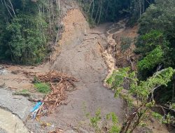 Banjir Bandang di Pegunungan Arfak Tewaskan 1 Orang, 19 Masih Hilang