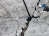 Megathrust Indonesia Berpotensi Picu Gempa Besar dan Tsunami Dahsyat, Kapan Terjadinya?