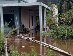 Cuaca Ekstrem Picu Longsor, Banjir, dan Karhutla di Banyak Wilayah