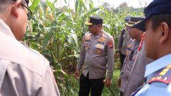 Kapolda Kalbar Irjen Pol Pipit Rismanto saat meninjau lahan jagung seluas 50 hektar di Desa Bange, Bengkayang, sebagai bagian dari program Gerakan Tanam Jagung Serentak. Foto: HO/Faktakalbar.id
