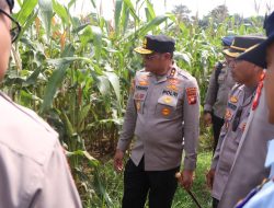 Polda Kalbar Dorong Ketahanan Pangan: Kunjungi Lahan Jagung dan Pabrik “Pangan Merah Putih”