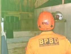 Perkembangan Situasi dan Penanganan Bencana Alam di Indonesia: Upaya Penanganan dari BNPB dan Pemerintah Daerah