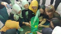 Foto: Salah satu lomba permainan rakyat pada HUT Sintang yaitu lomba mengeluarkan bola dari keranjang, (9/5/2025). Dok. Istimewa.