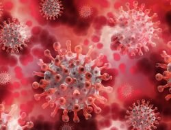 Kasus TBC di Sambas Mencapai 449 Orang Selama Januari–Mei 2025, 7 Meninggal Dunia