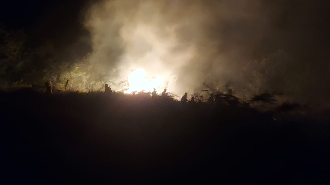 Karhutla yang terjadi di Kabupaten Padang Lawas Utara, Provinsi Sumatra Utara, Minggu (11/5). Sumber foto : BPBD Kabupaten Padang Lawas Utara