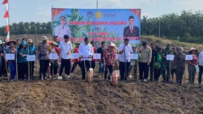 Foto: Bupati Landak, Karolin Margaret Natasa bersama Region Head PTPN lV Regional 5, Sudarna Bhakti Lessan sedang melakukan kegiatan penanaman jagung. Dok. HO/Faktakalbar.id