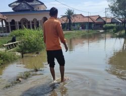 Cuaca Ekstrem Picu Sejumlah Bencana di Indonesia, BNPB Imbau Waspada