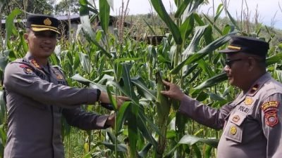 Prabowo Dijadwalkan Hadiri Panen Raya Jagung Nasional di Kalimantan Barat