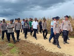 Wakapolda Kalbar dan Satbrimob Tinjau Lahan Panen Jagung di Bengkayang