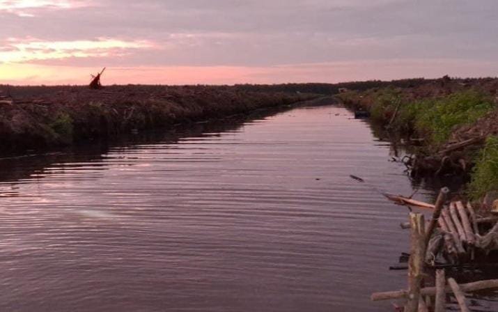 Foto: Tempat kejadian perkara seorang pria berinisial RT (22) meninggal dunia diduga tenggelam di kanal Blok A Kompartemen A.45 areal perusahaan PT WSL. Dok. HO/Faktakalbar.id