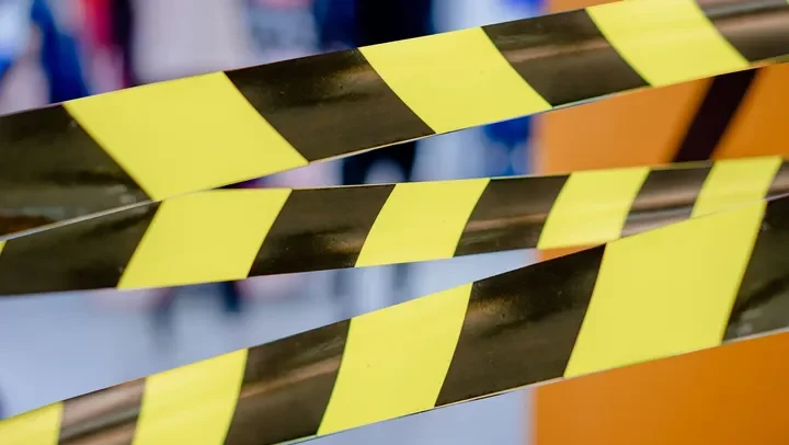 Ilustrasi – Satgas Penertiban Kawasan Hutan segel lahan sawit PT Rezeki Kencana seluas 1.672 hektare di kawasan hutan lindung Kubu Raya. (Pixabay/VisionPics)