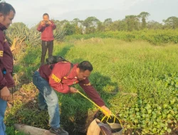 PT Bumi Perkasa Gemilang Bantah Isu Pencemaran Limbah ke Sungai Kapuas
