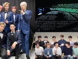 Danantara Tertarik Kembangkan Investasi di Industri Media dan Hiburan Korea Selatan