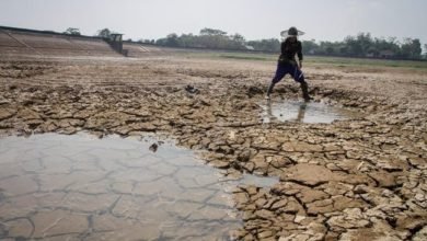 Ilustrasi kekeringan - BMKG memprediksi puncak musim kemarau akan terjadi di Indonesia pada Agustus 2025. (Dok. Ist)