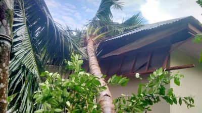 Bencana Akibat Cuaca Ekstrem Landa Sejumlah Daerah, BNPB Imbau Warga Tetap Waspada