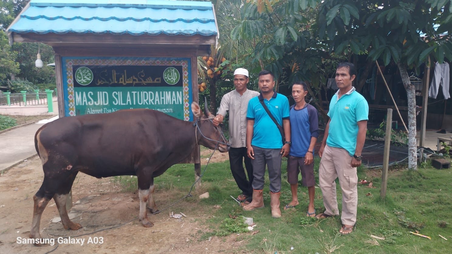 Kepala Desa dan pengurus masjid menerima langsung bantuan sapi qurban dari PT SMS sebagai bentuk kepedulian sosial perusahaan. Foto: HO/Faktakalbar.id