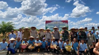 Kolaborasi Polri dan Petani, Sambas Panen 25 Ton Jagung Serentak