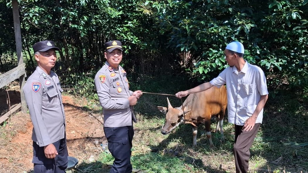 Penyerahan bantuan hewan kurban oleh Polsek Nanga Tayap di Masjid Miftahul Jannah, Dusun Tambang Kayong. Foto: HO/Faktakalbar.id