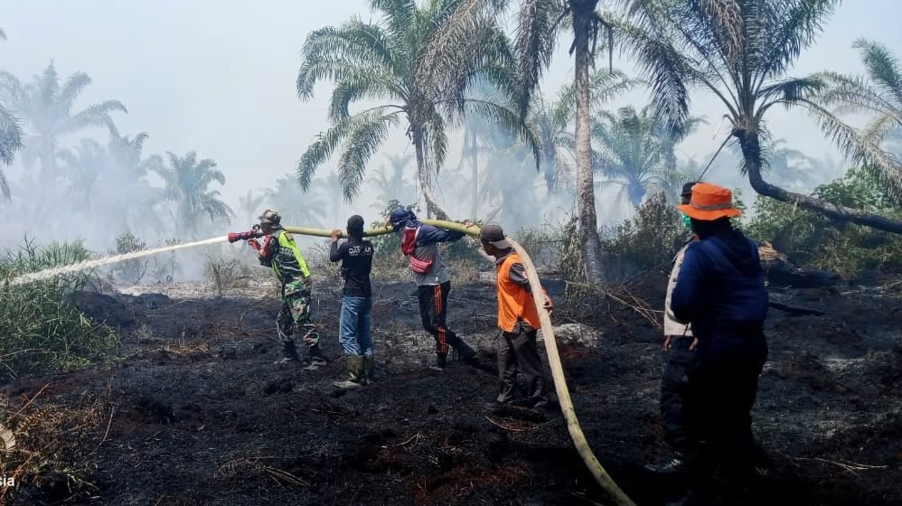 Petugas gabungan berupaya memadamkan api saat terjadi kebakaran hutan dan lahan (karhutla) di wilayah perbukitan. Upaya cepat dilakukan untuk mencegah api meluas ke area pemukiman. Foto: HO/Faktakalbar.id