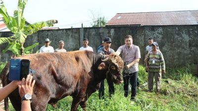 Idul Adha 2025, Polres Ketapang Berbagi Daging Qurban untuk Masyarakat Kurang Mampu