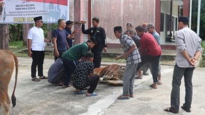 Suasana pelaksanaan kurban Polres Sambas yang melibatkan personel dan warga, wujud sinergi dalam perayaan Idul Adha. Foto: HO/Faktakalbar.id