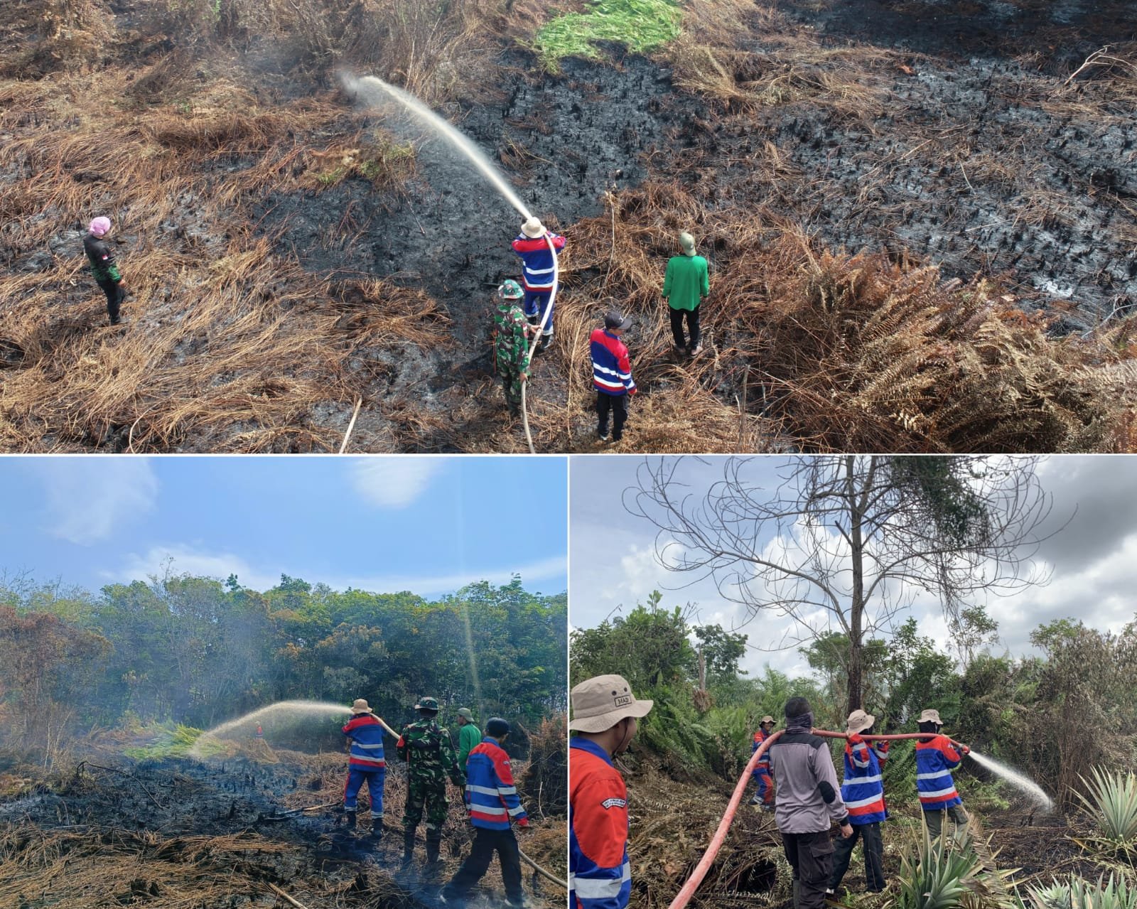 Tim gabungan dari UPT KPH Sambas, TNI, Polri, dan PT. SUM berupaya memadamkan api di lahan gambut Desa Serumpun, Sambas. Foto: HO/Faktakalbar.id