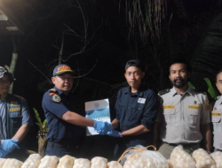 KKP Gagalkan Penyelundupan Telur Penyu di Sambas