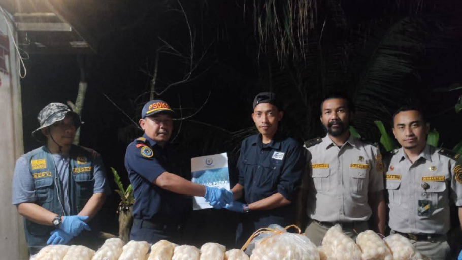 Petugas KKP dan BKHIT bersama karton berisi telur penyu hasil penyelundupan di Pelabuhan Kapet Sintete. (Dok. PSDKP Pontianak)