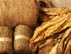 Petani Tembakau Temanggung Terjepit, Pabrikan Besar Hentikan Pembelian