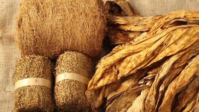 Petani Tembakau Temanggung Terjepit, Pabrikan Besar Hentikan Pembelian