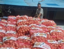 Bea Cukai Gagalkan Penyelundupan 21 Ton Bawang Bombai Ilegal di Pontianak