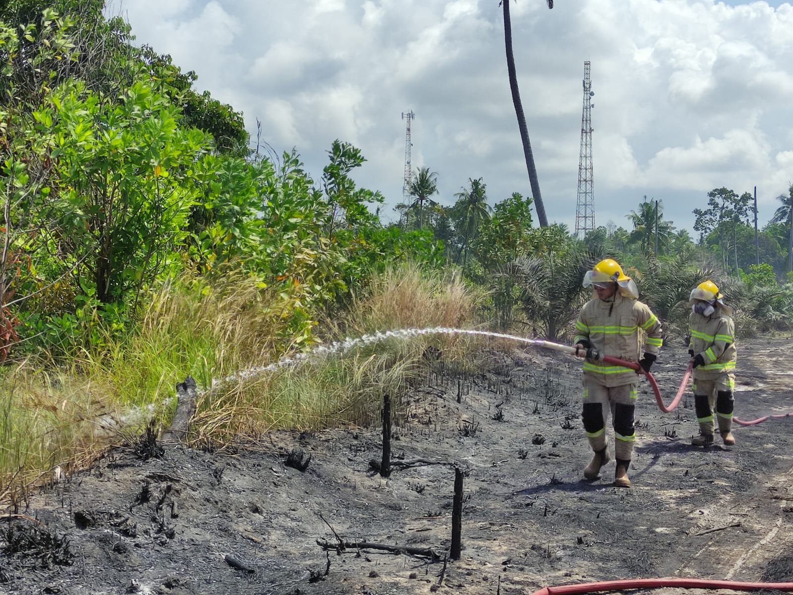 "Tim gabungan BPBD berupaya memadamkan kebakaran hutan dan lahan (karhutla) yang terjadi di salah satu wilayah di Indonesia. BNPB mengimbau semua pihak meningkatkan kewaspadaan jelang puncak musim kemarau."