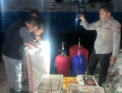 Ratusan Satwa Dilindungi Diamankan dari Kapal di Pontianak, Nahkoda dan ABK Ditangkap