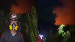 Seorang petugas pemadam kebakaran memberikan laporan terkait proses pemadaman kebakaran lahan di Desa Durian, Kubu Raya, Kalimantan Barat, Selasa malam (2/7/2025). Foto: dok. Dara Hitam