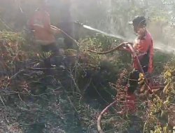 Update Bencana Terkini: Titik Api Terus Muncul, Ini Rincian Wilayah Terdampak Karhutla