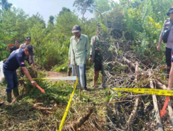 Geger di Segedong, Kerangka Manusia Ditemukan Tim Damkar Saat Padamkan Kebakaran Lahan