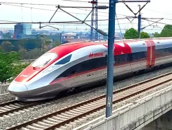 Gara-gara Biawak, Perjalanan Kereta Cepat Whoosh Terlambat 40 Menit